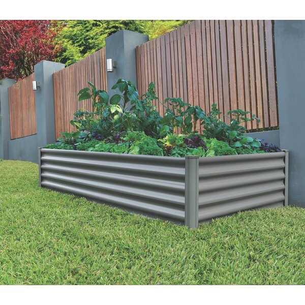 The Organic Garden Co. 6.5 ft x 3 ft Metal Raised Garden Bed | Wayfair